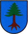 Awatar użytkownika